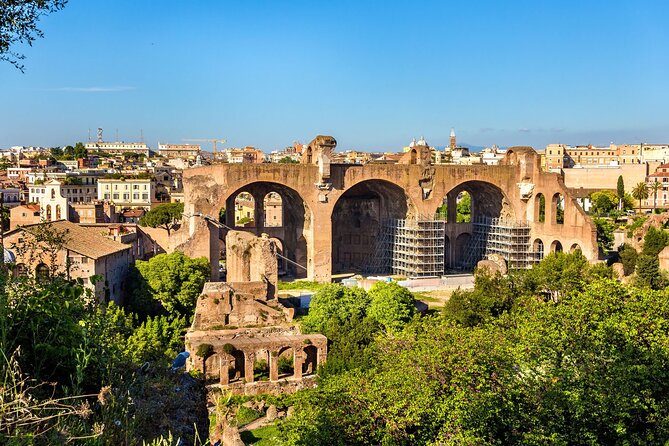 Roman Forum, Palatine Hill, Arch of Titus… Walking Tour - Architectural Marvels