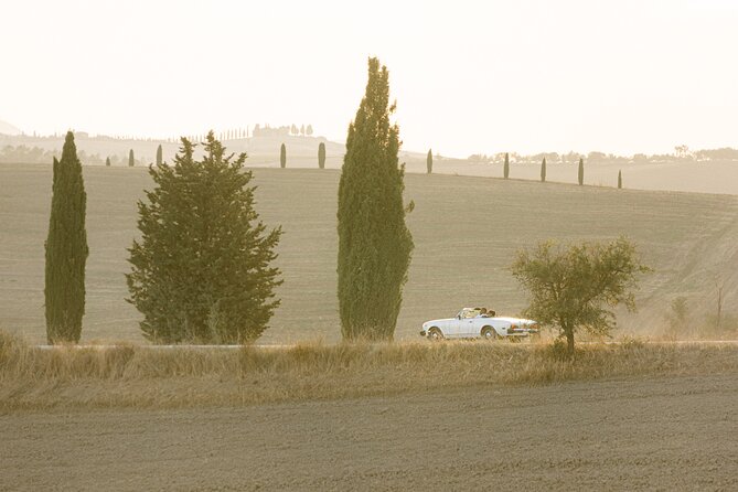 Romantic Photoshoot in Tuscany - Florence, Siena, Val Dorcia - Tour Information and Restrictions