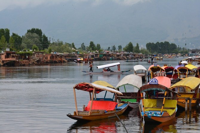 Romantic Tour in Srinagar