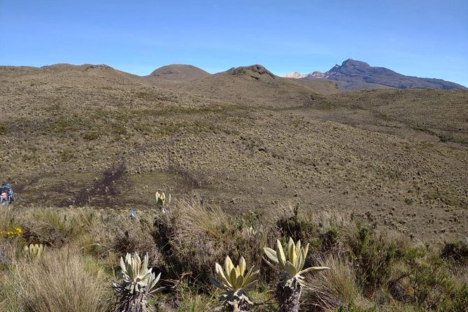Romerales Paramo Tour Salento Quindio - Pricing and Group Sizes