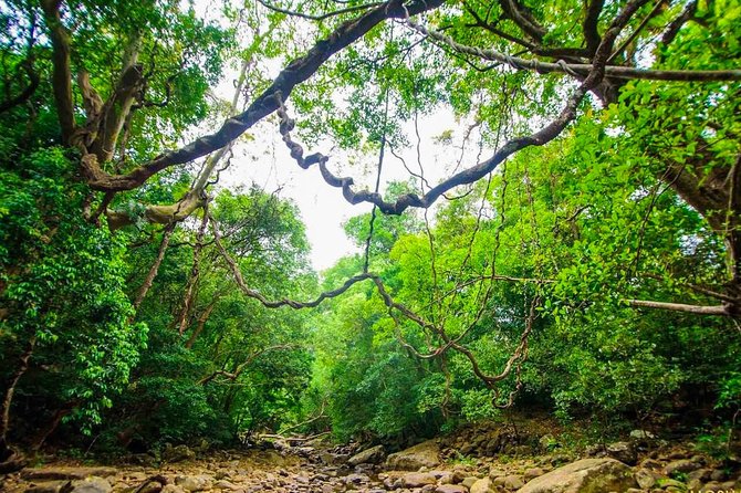 Rural Tour From Bentota (2 Days) - Inclusions and Exclusions