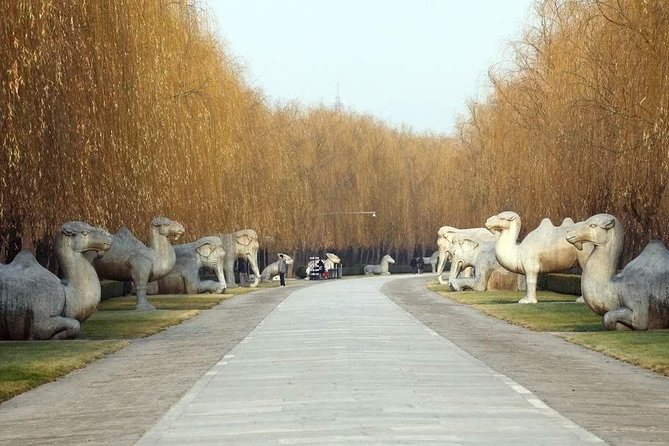 Sacred Way-Ming Tomb - Huanghuacheng Great Wall Day Tour - Inclusions