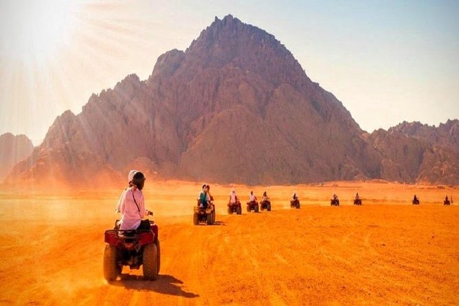Safari - Private Tour Experience
