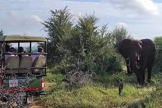 Safari and High Tea Game Drive in Victoria Falls
