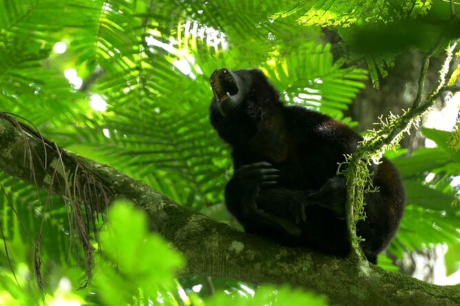 Safari Floating Tour From Arenal - Inclusions and Amenities