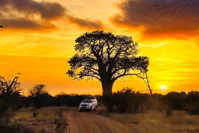 Safari Game Drive 3 Hours in Victoria Falls