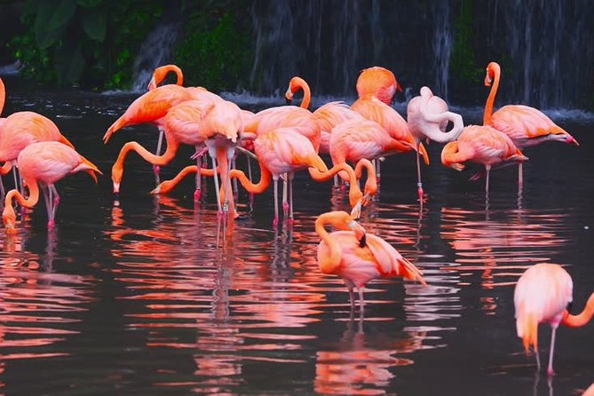Safari in Selous: 02 Night 03 Days Safari – Full Board - Safari Itinerary
