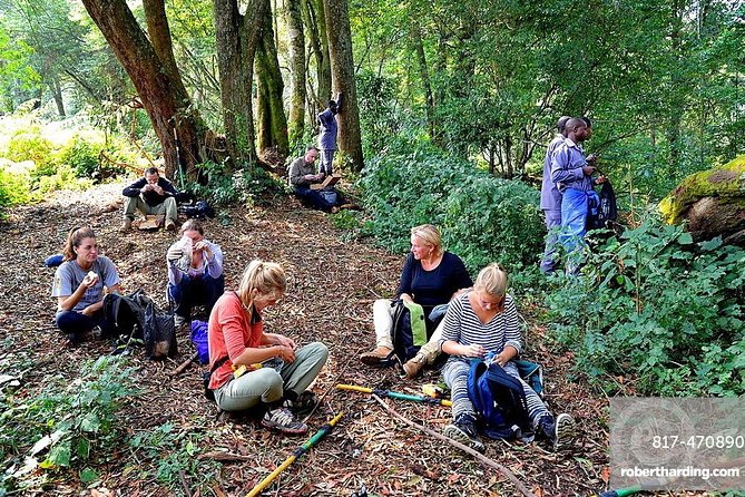 Safari to Kibaale Forest, Queen Elizabeth and Lake Mburo National Parks - Chimpanzee Trekking Experience