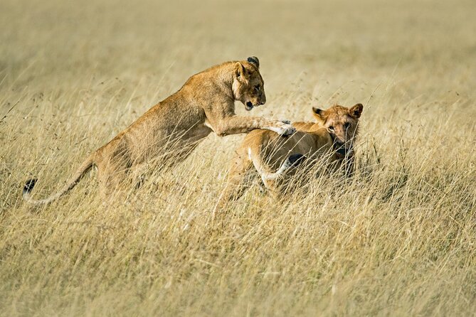 Safaris 4 Days Serengeti, Ngorongoro & Tarangire - Essential Packing List