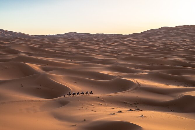SAHARA DESERT 4 Day Private Tour From Marrakech - Pickup Information