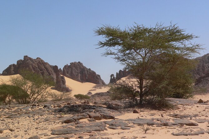 SAHARA – Tibesti