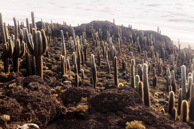 Salar De Uyuni. 2 Days 1 Night. Spanish Guide. Volcan Tunupa Ruta. Private Tour!