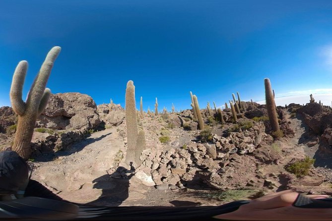 Salt Flats, Colored Lagoons And Tupiza_private - Inclusions and Exclusions