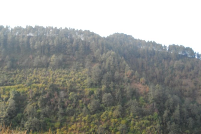 Sanga to Panauti Community Hike With Stop at Tallest Shiva Statue of the World - Activity Inclusions and Exclusions