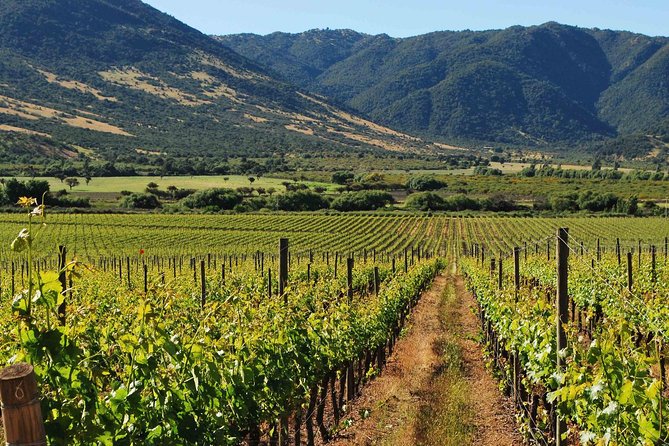 Santiago Full Day Tour to Colchahua Valley, Include Entraces