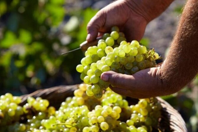 Santorini Wine and Wineries Tour - Transportation Details