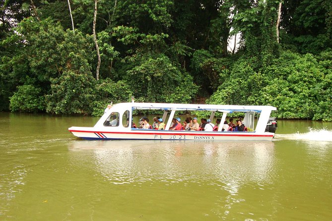 Sarapiqui River Cruise & Rainforest Walk. Private Tour From San Jose - Tour Highlights