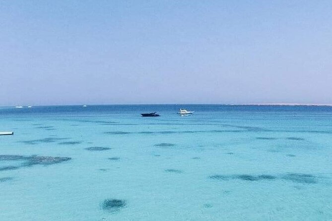 Satayeh Reef Swim With Dolphin and Snorkeling Sea Trip -Marsa Alam - Overview