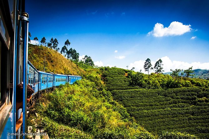 Scenic Train Ride to Ella With Kandy City Tour