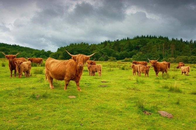 Scottish Highlands & Oban Private Day Tour With Scottish Local