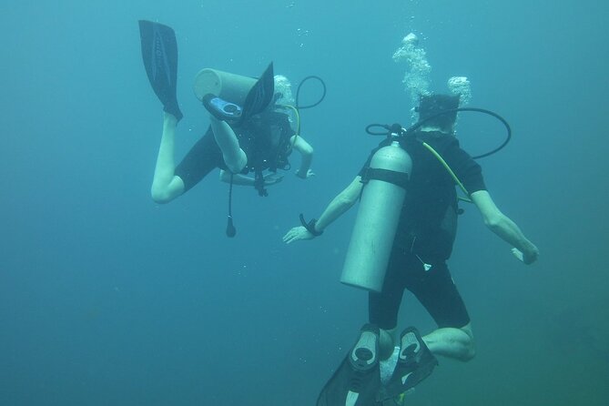 Scuba Diving in Colombo - Group Size and Booking Policies