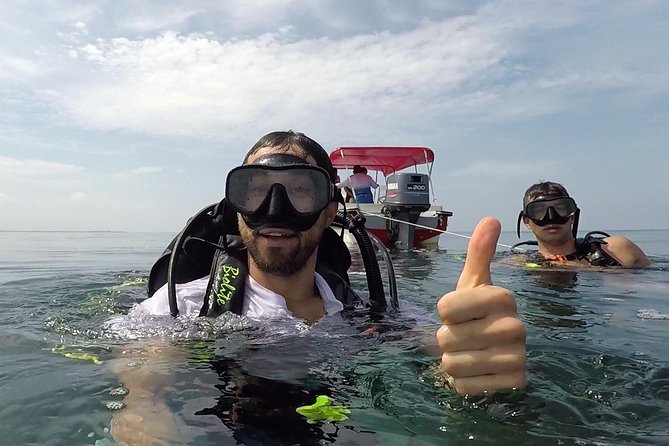 Scuba Diving in Rosario Islands - Overview of Scuba Diving Experience