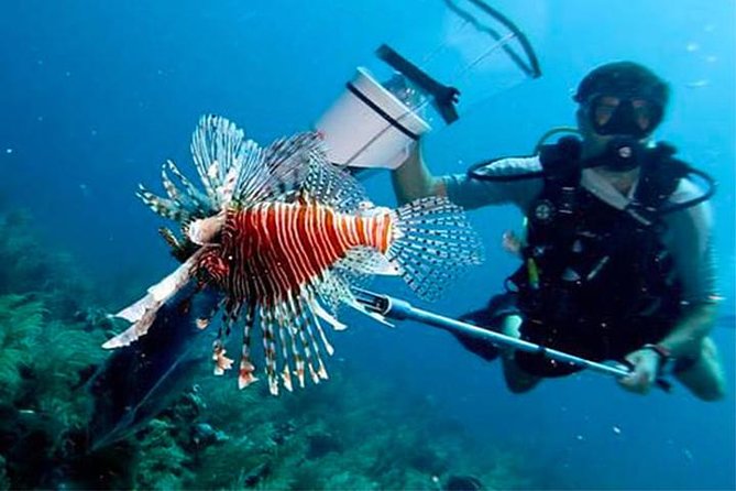 Scuba Diving Sustainable Lion Fish Spearfishing - Meeting and Pickup Details