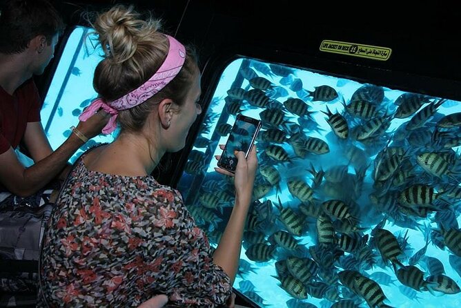 Sea Scope Experience From Marsa Alam