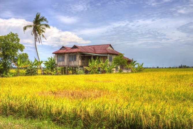Sekinchan Paddy Fields, Beach, Temple and Fireflies Tour - Meeting and Pickup Details