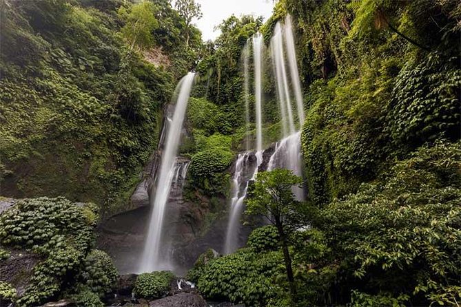 Sekumpul Waterfall and Bedugul Tour - What To Expect