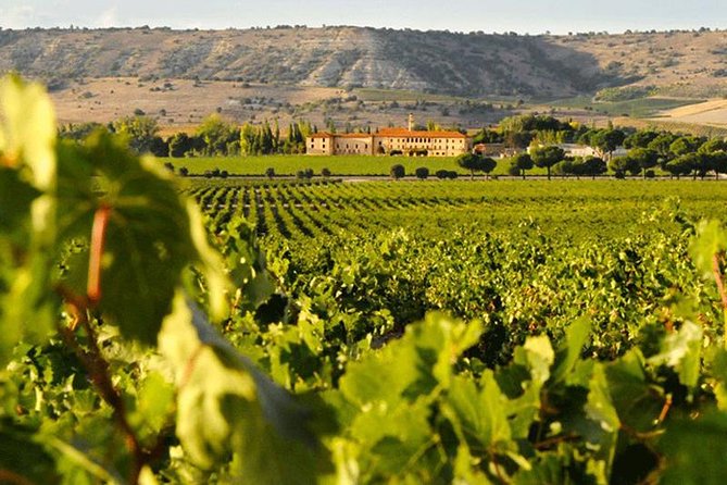 Self Drive Experience in Colchagua Valley, 4 Days - Accommodation Details