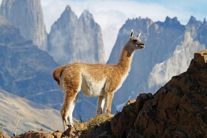 Self Drive Experience in Torres Del Paine National Park – 6 Days