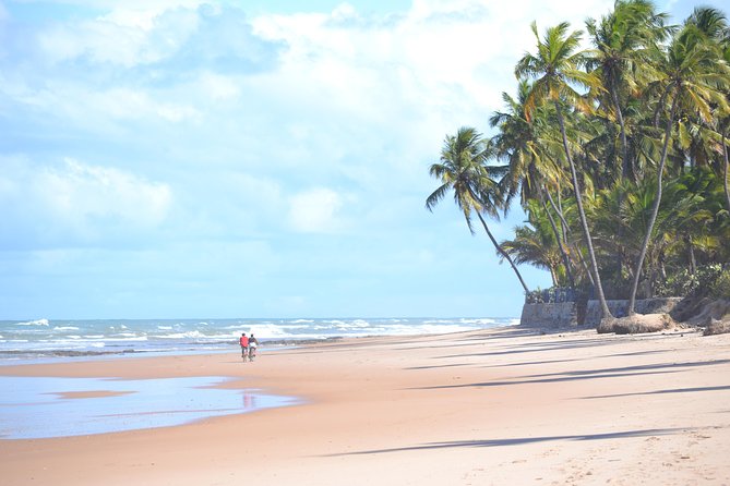Serenity Shore Stroll Jauá Beach, Visit a Hidden Gem. - Unique Features of the Tour