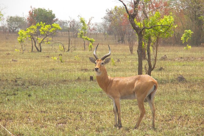 Shai Hills Game Reserve, Oboadaka and Aburi Gardens Shared Tour - Location Details