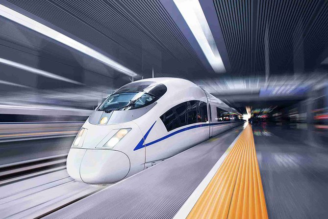 Shanghai Train Station Private Arrival Transfer to Hotel in English Services - Additional Information