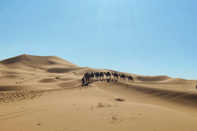 Shared 3 Days Tour From Marrakech To Fez Via Merzouga Desert