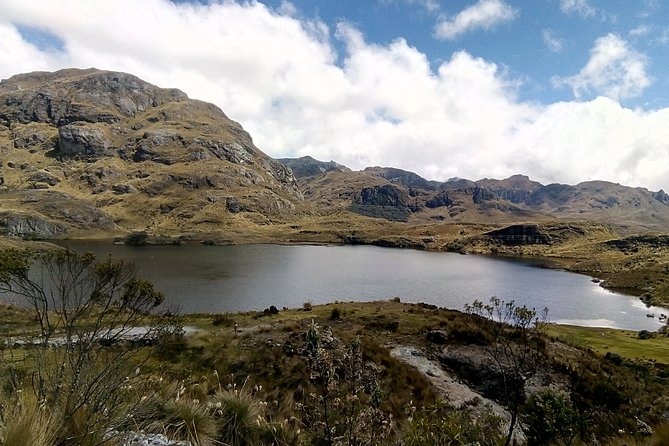 Shared Cajas National Park Half-Day Tour From Cuenca - Highlights of Cajas National Park