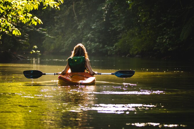 Shared Shuttle Arenal to Tortuguero - Shuttle Service Details