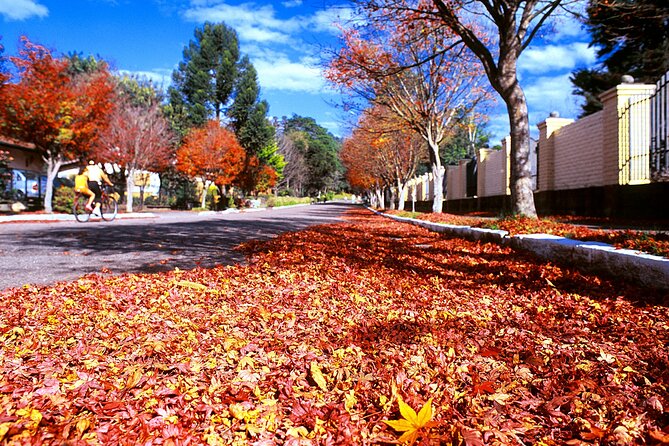 Shared Shuttle Between Porto Alegre Airport and Gramado or Canela Hotels - Booking Information