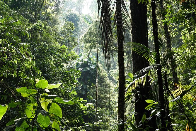 Shared Shuttle Tamarindo to Monteverde - Vehicle Amenities
