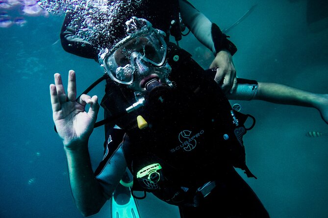 Sharks Bay Diving Trip - Trip Itinerary