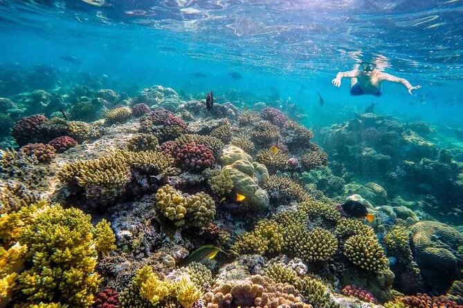 Sharm El Naga Private Full Day Tour From Hurghada - Inclusions and Exclusions