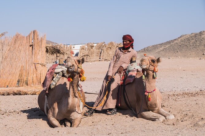 Sharm El Sheikh Quad Biking With Camel Ride & Beduin Dinner