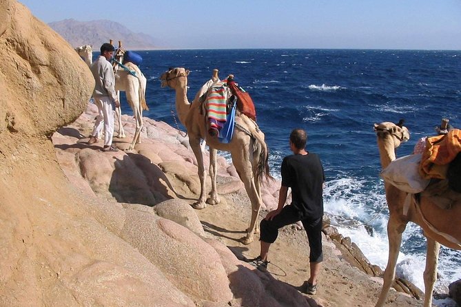 Sharm El-Sheikh: Snorkel & Camel Safari at Blue Hole - Snorkeling Adventures at Blue Hole