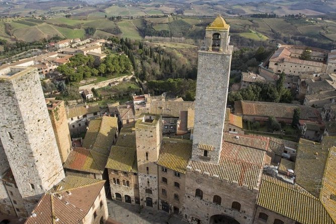 Shore Excursion From Livorno to Chianti Area With Wine Tasting & Lunch - Important Information for Participants