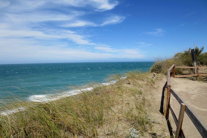 Shore Excursion Peninsula Valdes/Punta Tombo - Minibus Madryn - Pickup Point Information