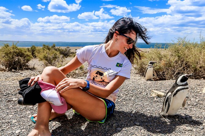 Shore Excursion Peninsula Valdes/Punta Tombo - Minivan Madryn - Insider Tips for Visitors