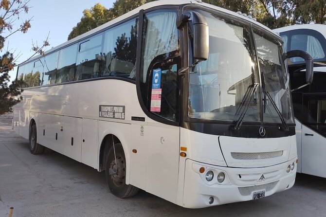 Shore Excursion Peninsula Valdes/Punta Tombo - Special Bus Madryn - Transportation Information