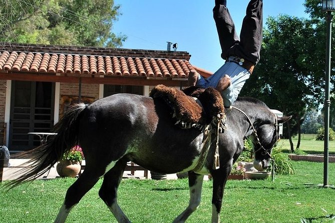 Shore Excursion: Premium Estancia Tour to San Antonio De Areco - Highlights of San Antonio De Areco