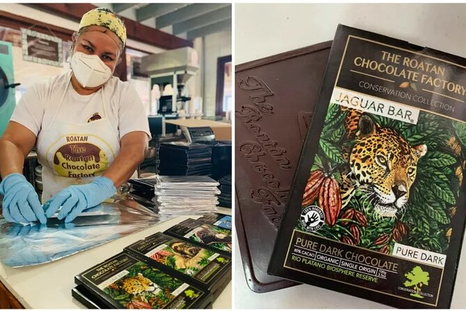 SHORE EXCURSION Zip Line, Sloth Park,City Tour, Roatan Sign & Chocolate Factory - Pricing and Inclusions